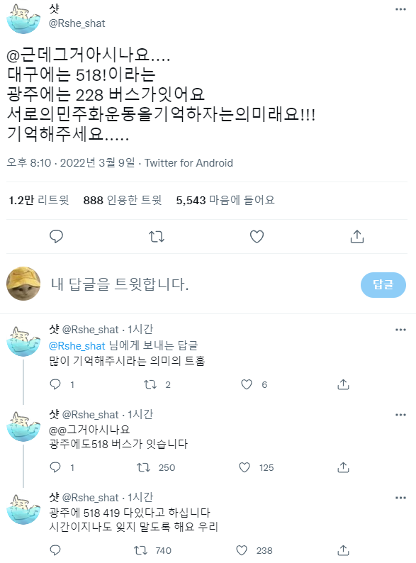 대구에는 518버스가 , 광주에는 228버스가 있다는 사실을 아시나요 | 인스티즈