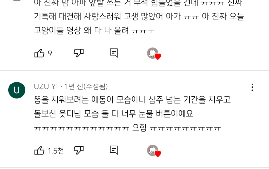 cctv보고 오열😭 응가실수하고 혼자 치우려는 고양이 | 인스티즈