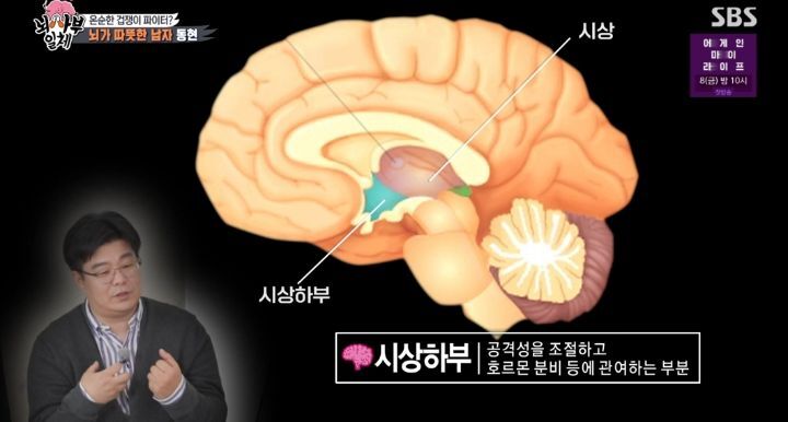 [집사부일체] 최고의 뇌과학자가 분석한 양세형, 리정, 이승기, 유수빈, 김동현 뇌 MRI 결과 | 인스티즈