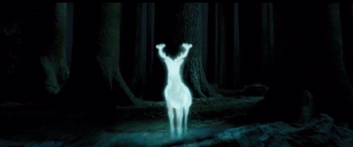 해리포터 내가 다 뽕차는 장면들...gif | 인스티즈