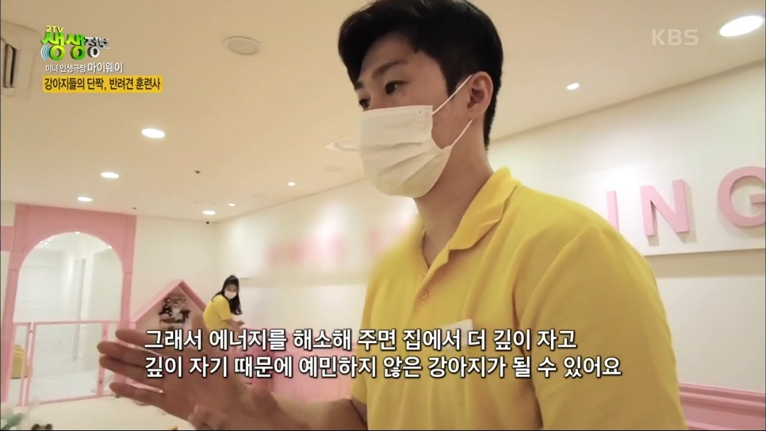 강아지 유치원.jpg | 인스티즈