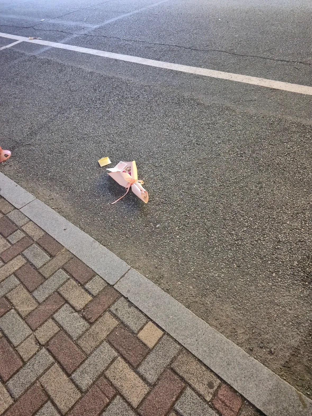 산책중 ..보게된 | 인스티즈