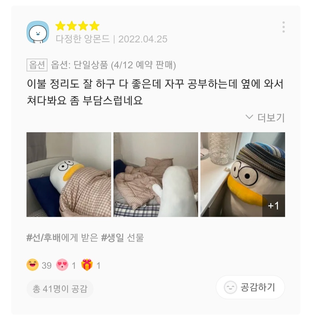 재치있는 오둥이 바디필로우 리뷰들 | 인스티즈
