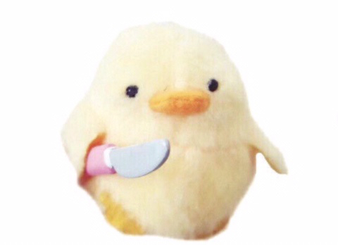 칼든병아리는 어디서 시작했을까 | 인스티즈