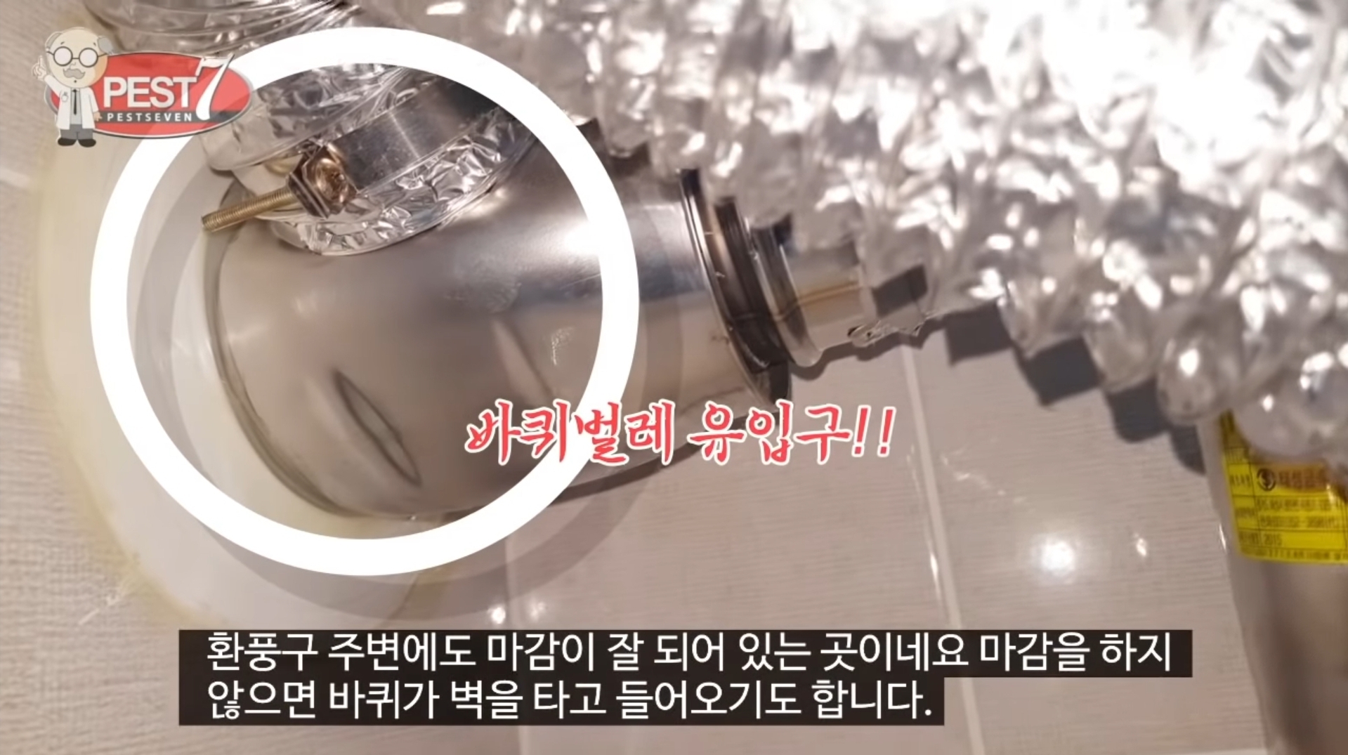 바퀴벌레가 집으로 들어오는..놀라운 경로들.jpg | 인스티즈