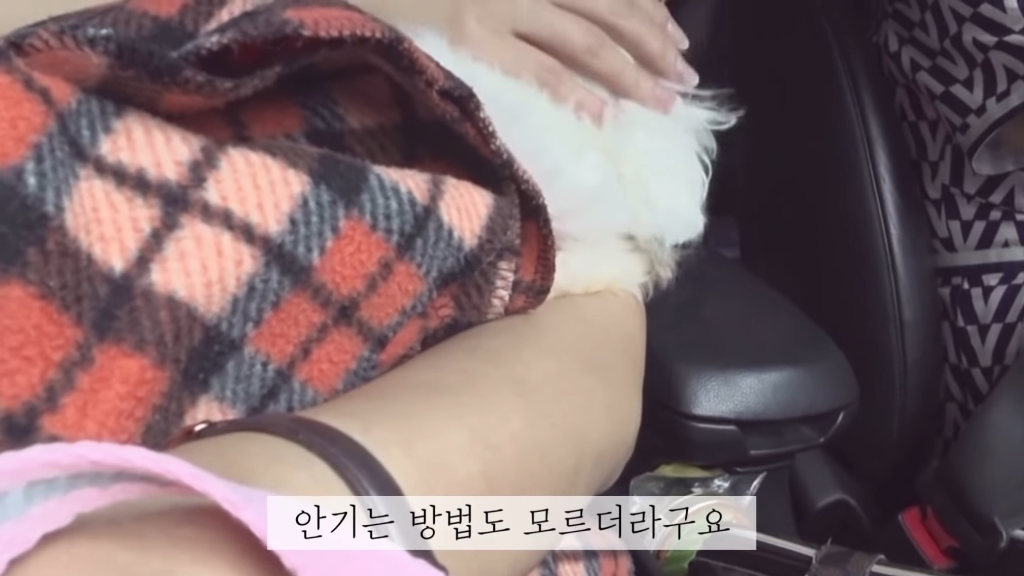 "공고번호 411번" 강아지가 입양되기 전 후 모습.jpgif | 인스티즈