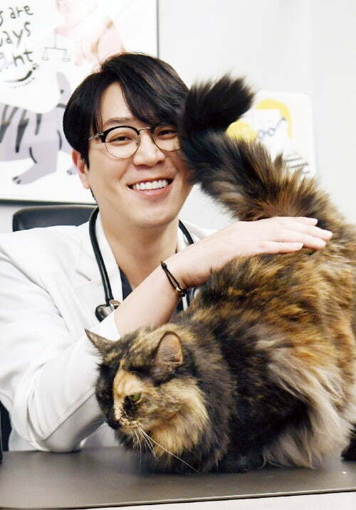 개 전문가와 고양이 전문가 인상 차이 | 인스티즈