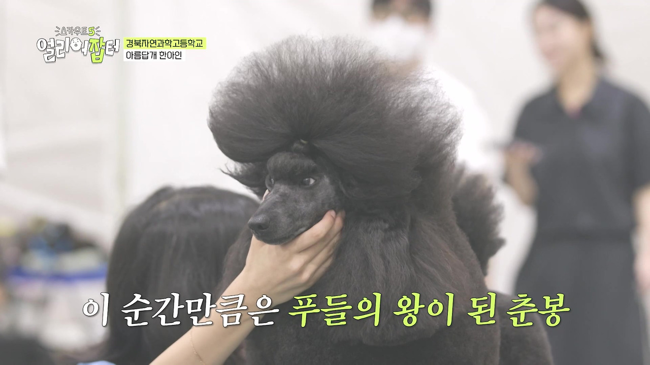 반려동물 키우는 사람들한테 도파민 터지게 만들었다는 한 고등학교 | 인스티즈