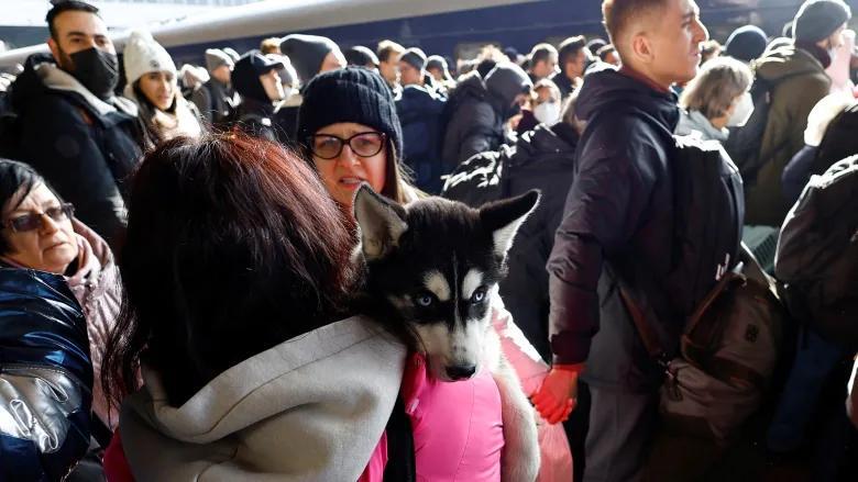 피난가는 강아지, 고양이들 | 인스티즈