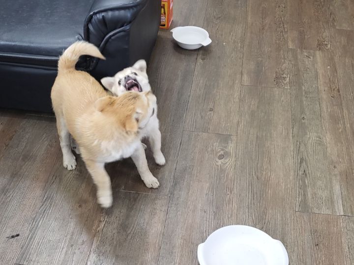 (공지라니... ++추가)새로생긴 회사 복지.. 미쳐서 도저히 일을 못하겠네.. (추가....)++추가 | 인스티즈