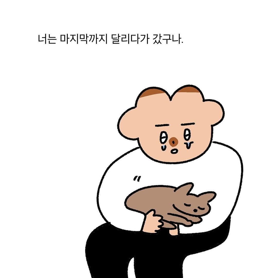 반려동물을 떠나보낸 사람이라면 공감할 인스타툰 | 인스티즈