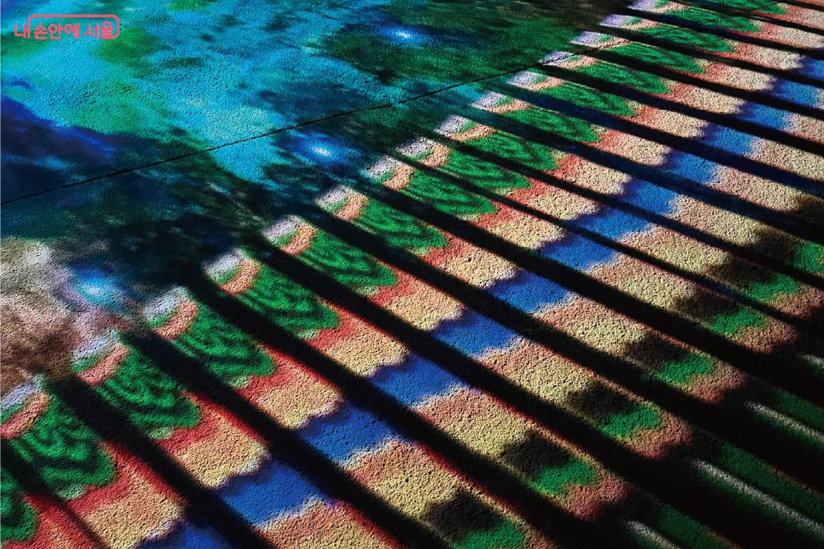 빛으로 물든 창경궁에서 밤 산책 | 인스티즈