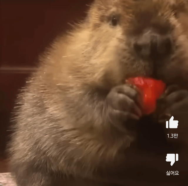 7739bbb9a3fd0859fea3d43511fad2f6fed6a88a