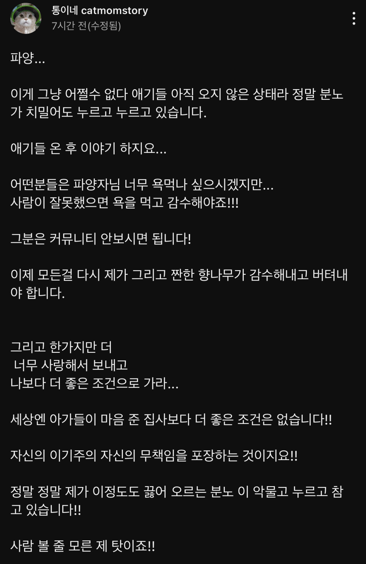 구조된 고양이가 입양갔는데 사람을 너무 잘 따른다는 이유로 파양됨 | 인스티즈