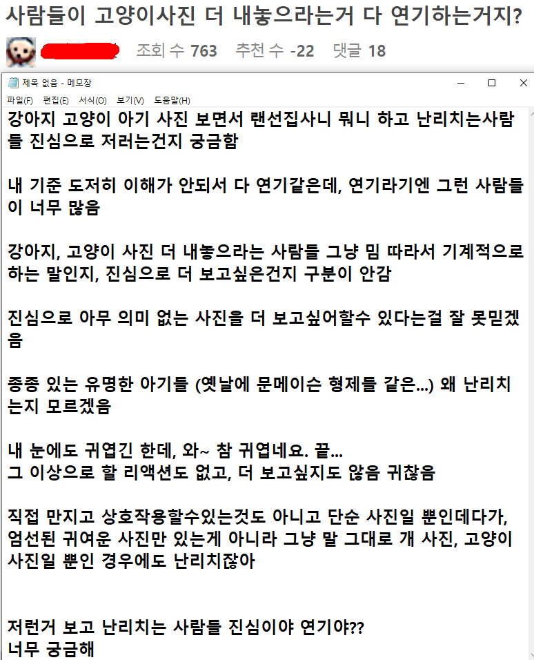 사람들이 고양이사진 더 내놓으라는거 다 연기하는거지? | 인스티즈