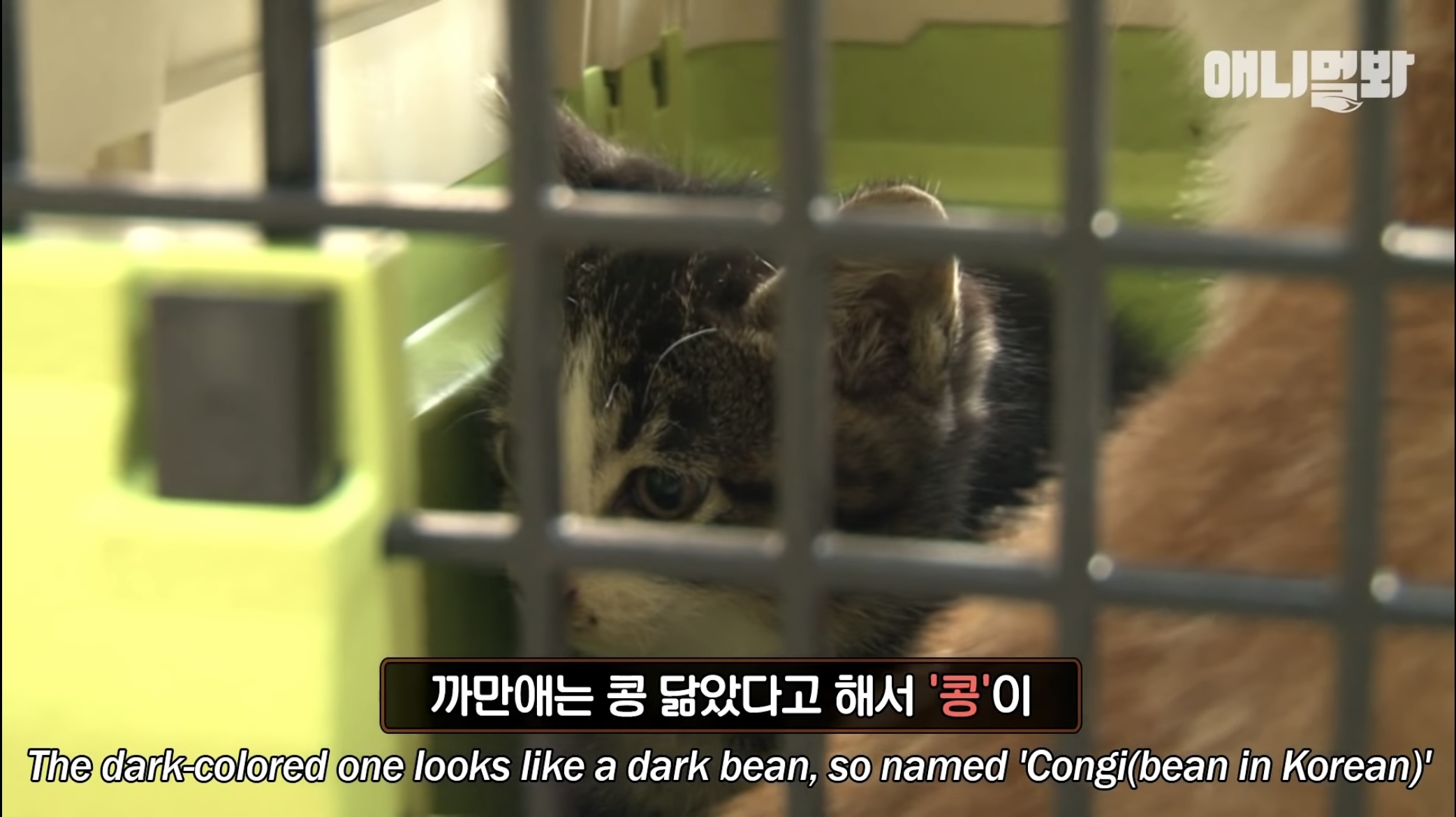 엄마의공방 이미지