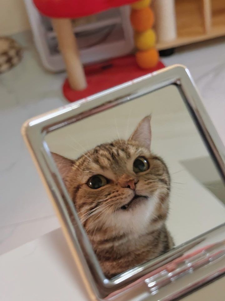 그는 자신이 잘생겼다는 걸 알고 있다🥰 | 인스티즈