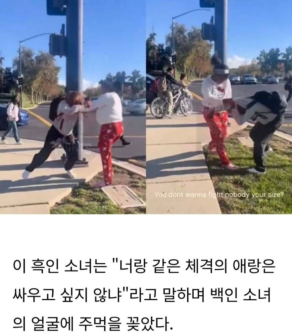 왜소한 동양인 쫓아다니며 괴롭히는 백인 여학생 '주먹'으로 참교육 대신해 준 흑인소녀 | 인스티즈