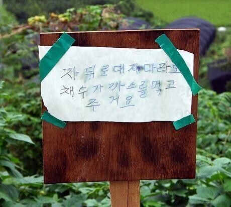 7787c4a904facf394adc4e33a59a94334a0c9bc8