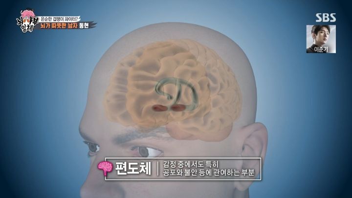 [집사부일체] 최고의 뇌과학자가 분석한 양세형, 리정, 이승기, 유수빈, 김동현 뇌 MRI 결과 | 인스티즈