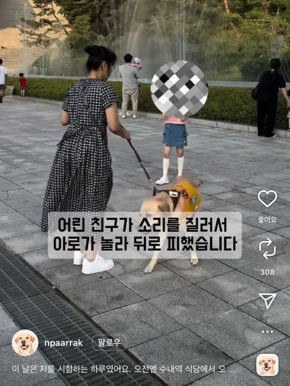 "애기들이 강아지(안내견)를 너무 무서워해서요... 이 쪽으로 안오시면 (좋겠어요)" | 인스티즈
