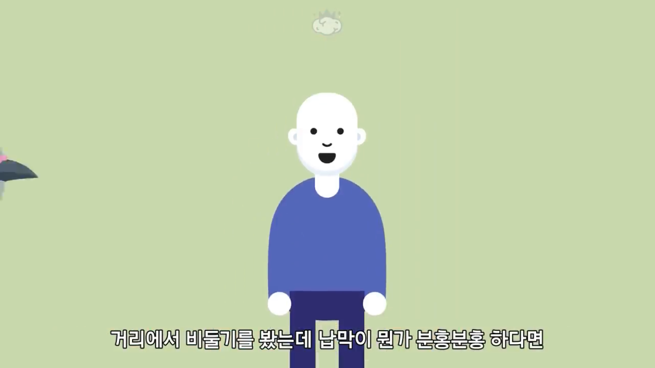 거리에 비둘기가 이렇게 많은데 왜 새끼 비둘기는 안 보일까? | 인스티즈