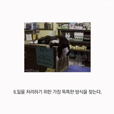 게으른 사람이 일 잘하는 이유 | 인스티즈