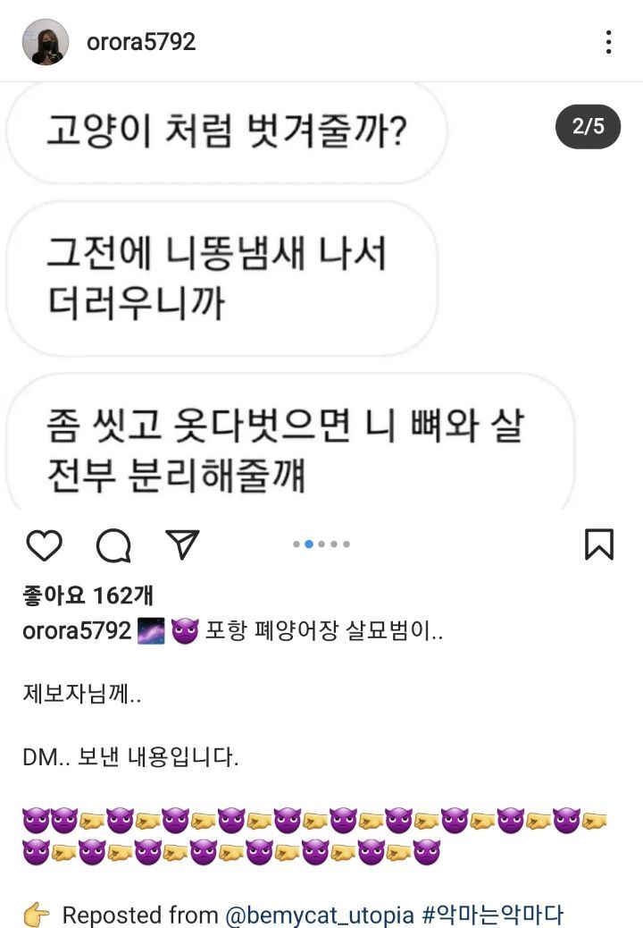 포항 고양이 살해범이 제보자한테 고양이처럼 가죽 벗겨주겠다 살해 협박중 🚨🚨🚨 | 인스티즈