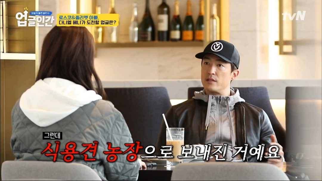 식용견 농장에서 구출된 다니엘 헤니의 강아지 로스코, 줄리엣 | 인스티즈