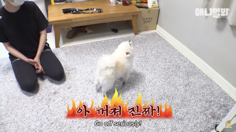 밤낮없이 집 도어락을 누르는 누군가때문에 고민인 부부 | 인스티즈