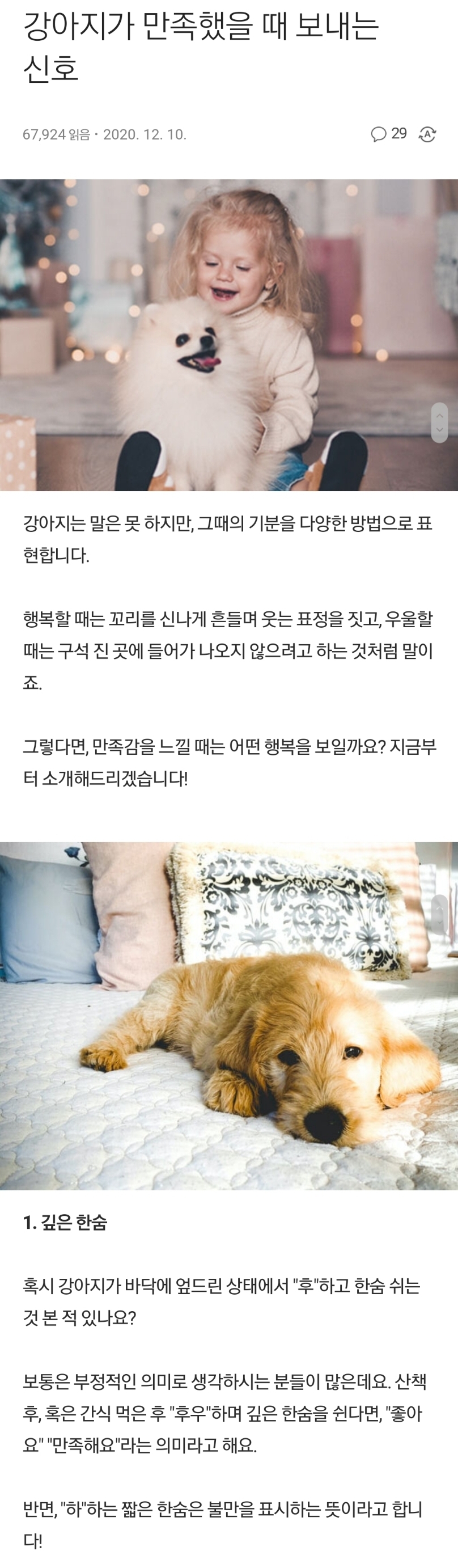 강아지가 만족했을 때 보내는 신호 | 인스티즈