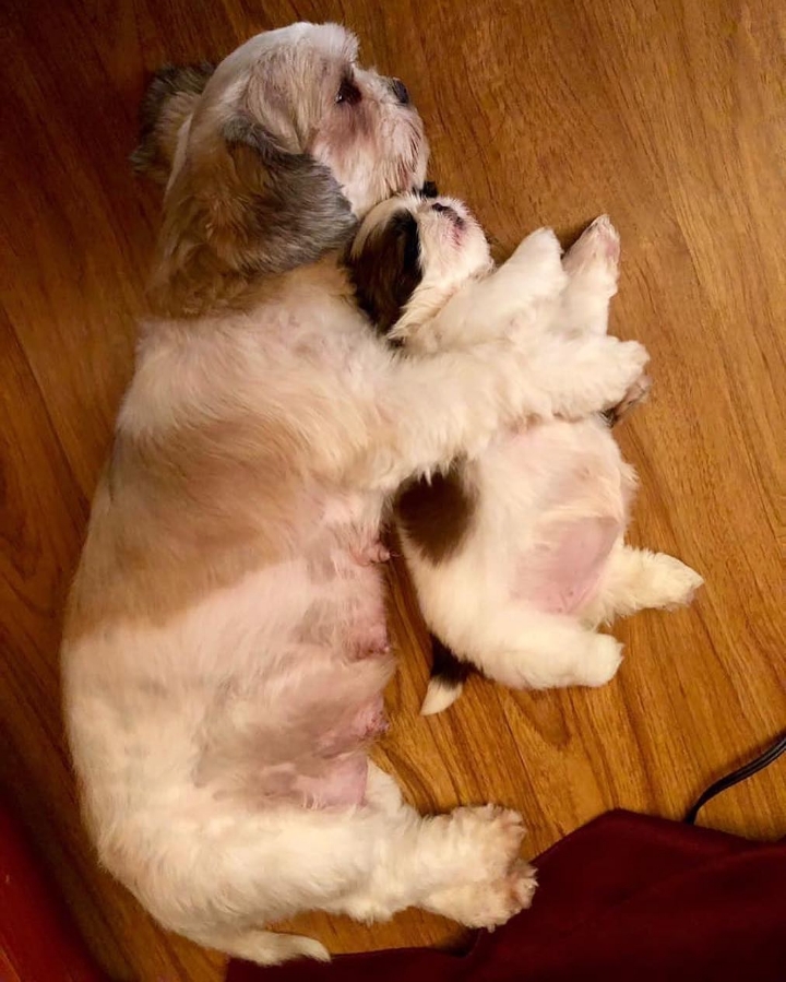 788bd8c29c5782307739f3c6cc9c3744e549a5e1