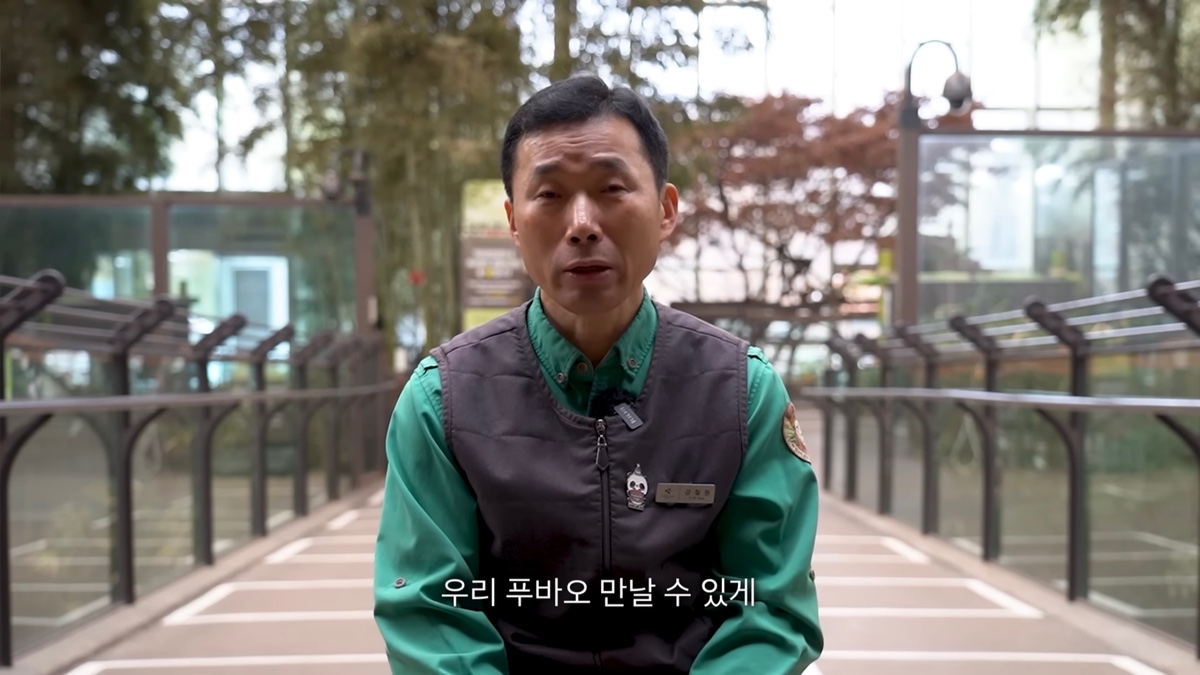 강바오가 중국 사육사에게 보내는 영상편지 (오열주의) | 인스티즈