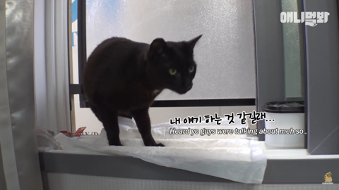 밤낮없이 집 도어락을 누르는 누군가때문에 고민인 부부 | 인스티즈