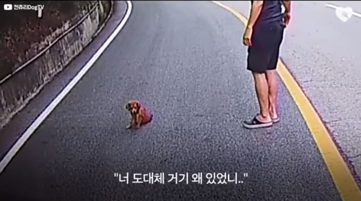 운전하다 댕줍하신 어느 운전자분 사연...ㅠㅠ | 인스티즈