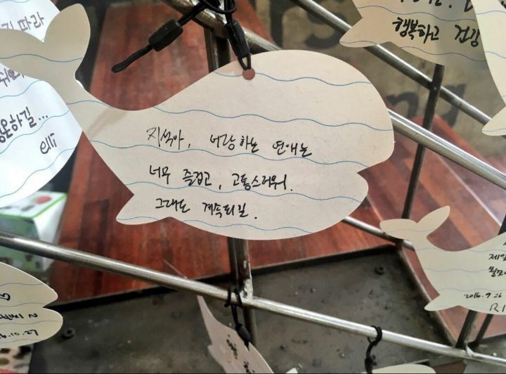 사랑이라고 생각하는 짤 올려보는 달글 | 인스티즈