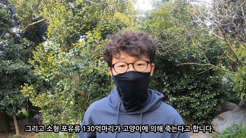 고양이가 자연생태계에 끼치는 심각한 영향(새 사체사진있음) | 인스티즈