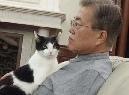 文 "고마웠다. 잘 가렴”…반려묘 '찡찡이' 무지개다리 건너 | 인스티즈