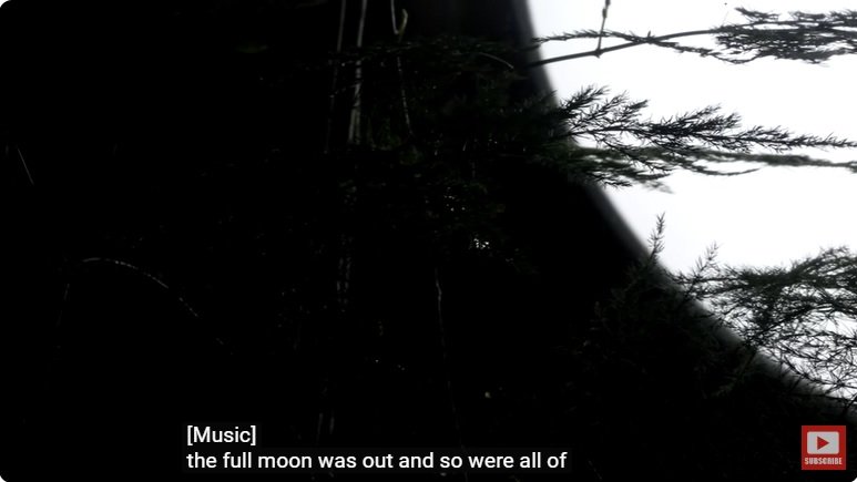 거대한 수조에 열대우림 환경을 조성해놓으면 생기는 일 - 3 | 인스티즈