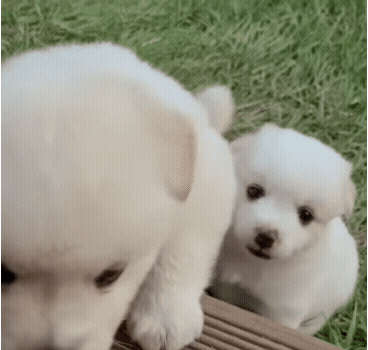 79399cf92d4ee5f3b704989ed2e84177eaf9773b