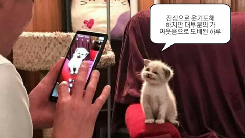 인스타 부계에 힘들때마다 올린짤 모음Zip | 인스티즈