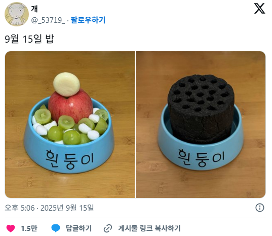 요새 트위터에서 화제 중인 식단 계정...... | 인스티즈