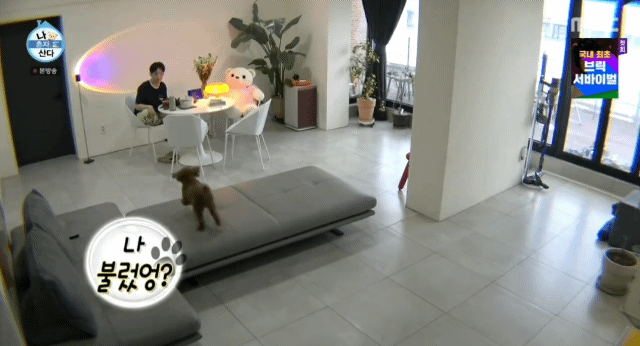 79964ef5d49e1c0b827c9ef153d3bb685bf98597