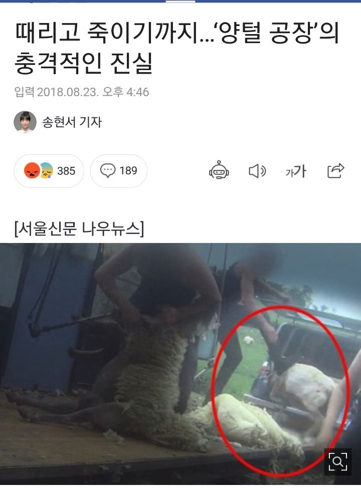 일부 사람들이 어그부츠 안 신는 이유 | 인스티즈