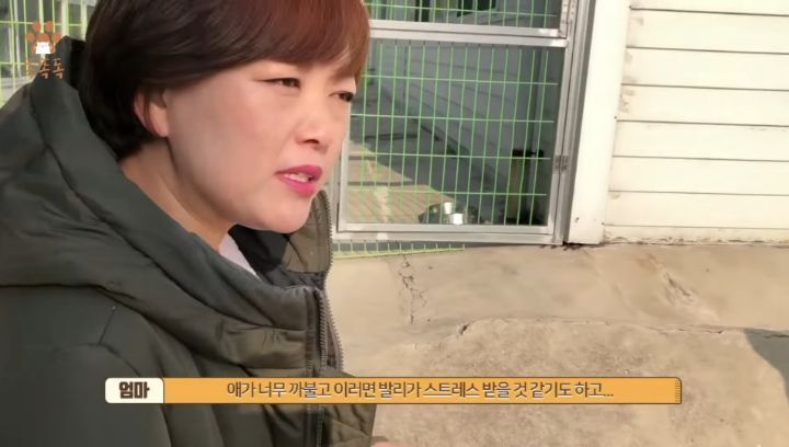 7살 아이 눈에 비친 유기견 보호소는? | 인스티즈