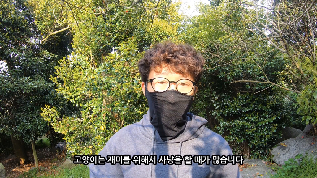 고양이가 자연생태계에 끼치는 심각한 영향(새 사체사진있음) | 인스티즈