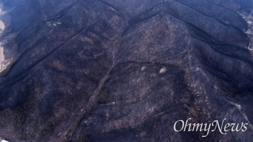 '적은 비지만 고마워'... 경북 산불 진화율 85% | 인스티즈