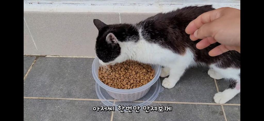 금은보화가 들어있는 박씨를 얼마나 받을지 궁금한 매탈남 | 인스티즈