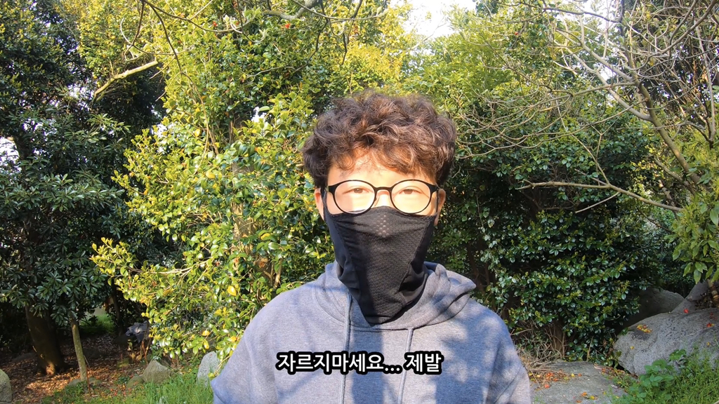 고양이가 자연생태계에 끼치는 심각한 영향(새 사체사진있음) | 인스티즈