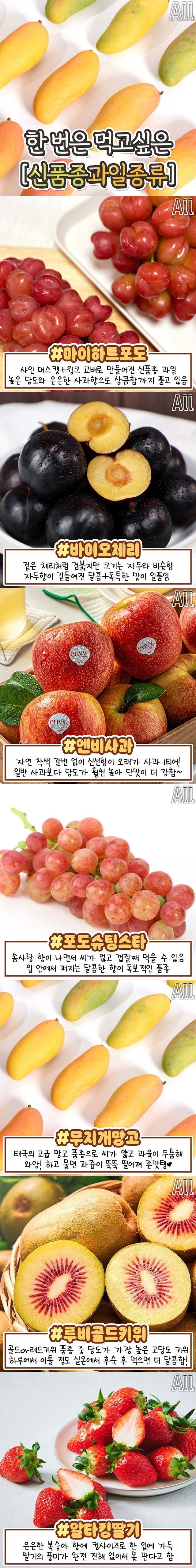 새로운 품종 과일 | 인스티즈
